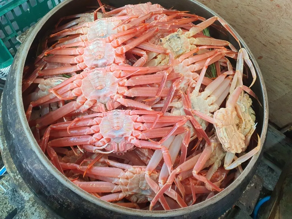 남겨서뭐하게 영덕 대게찜
