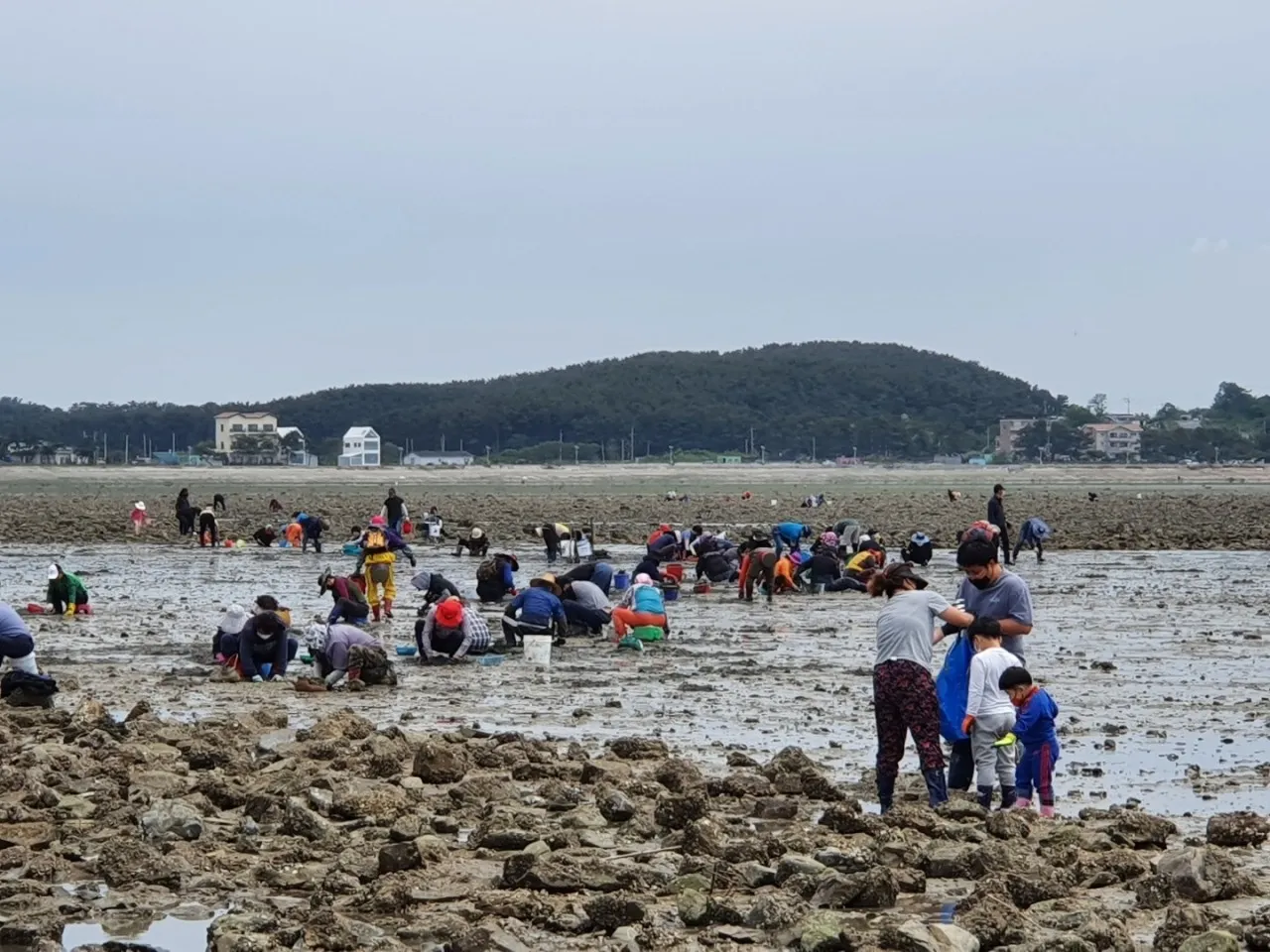 동네한바퀴 안산 대부도 독살체험
