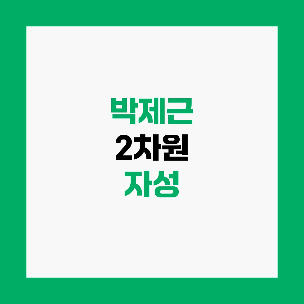 박제근 2차원 자성