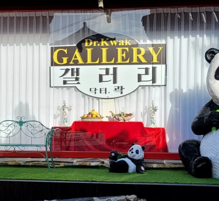 생방송투데이 전주 돌 전시관