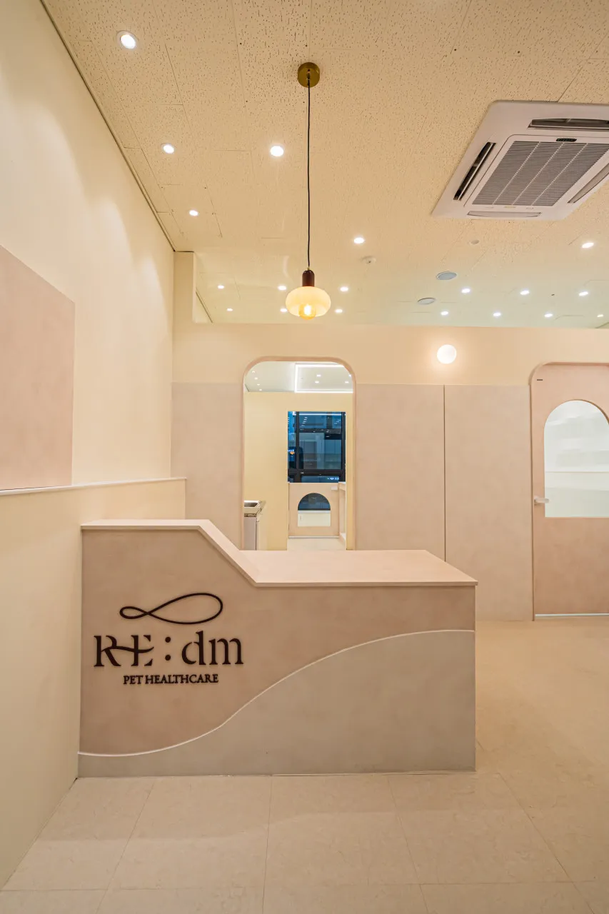 생방송투데이 하남 반려동물재활