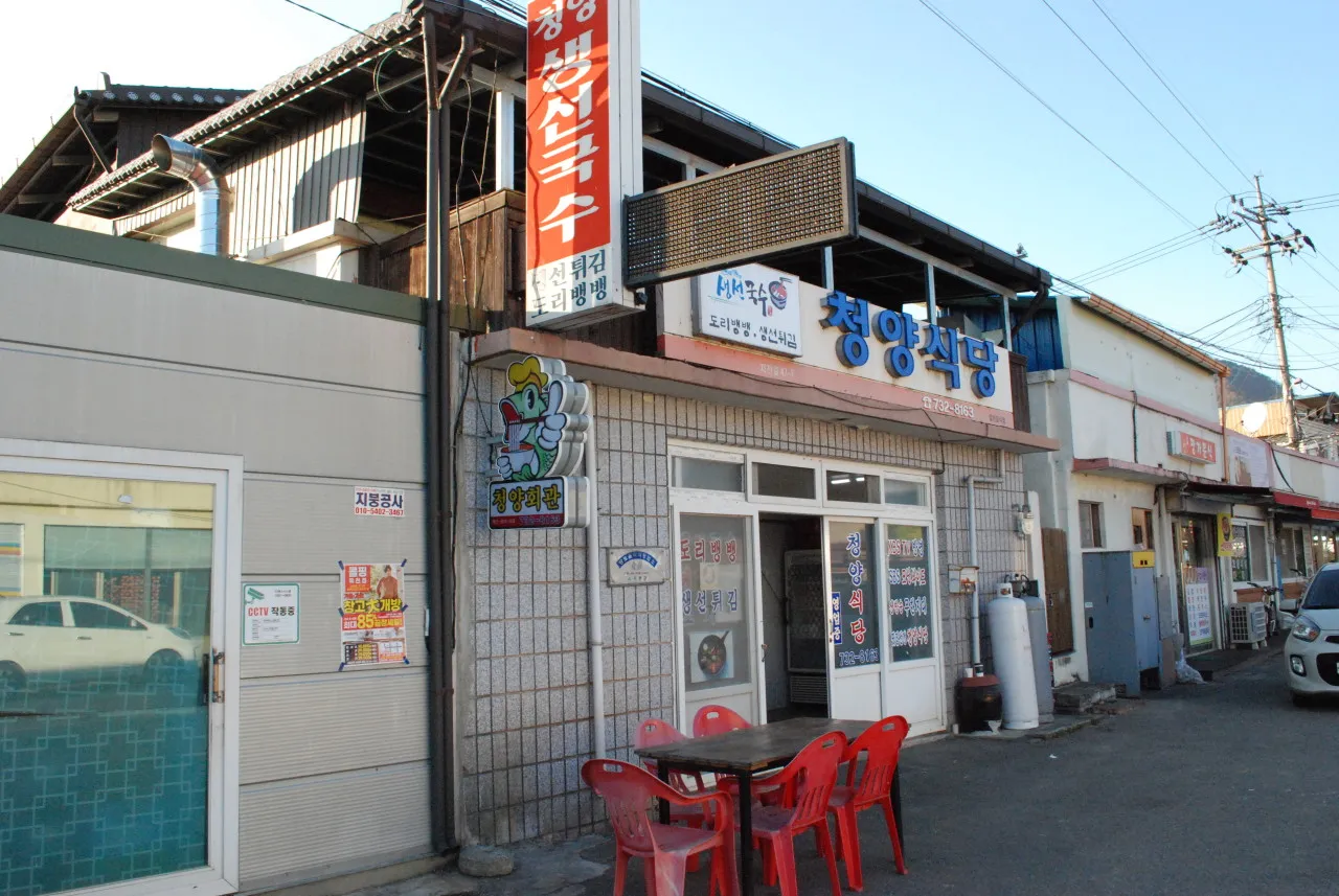 생생정보 옥천 청양식당