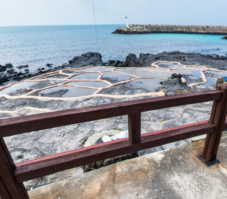 생생정보 제주도 애월 구엄리돌염전