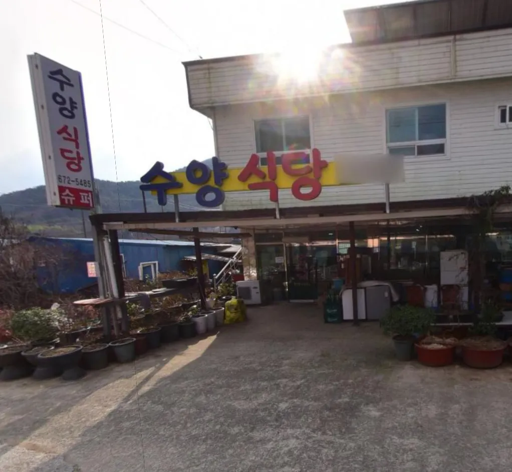 오늘N 고성 자연산회 백반