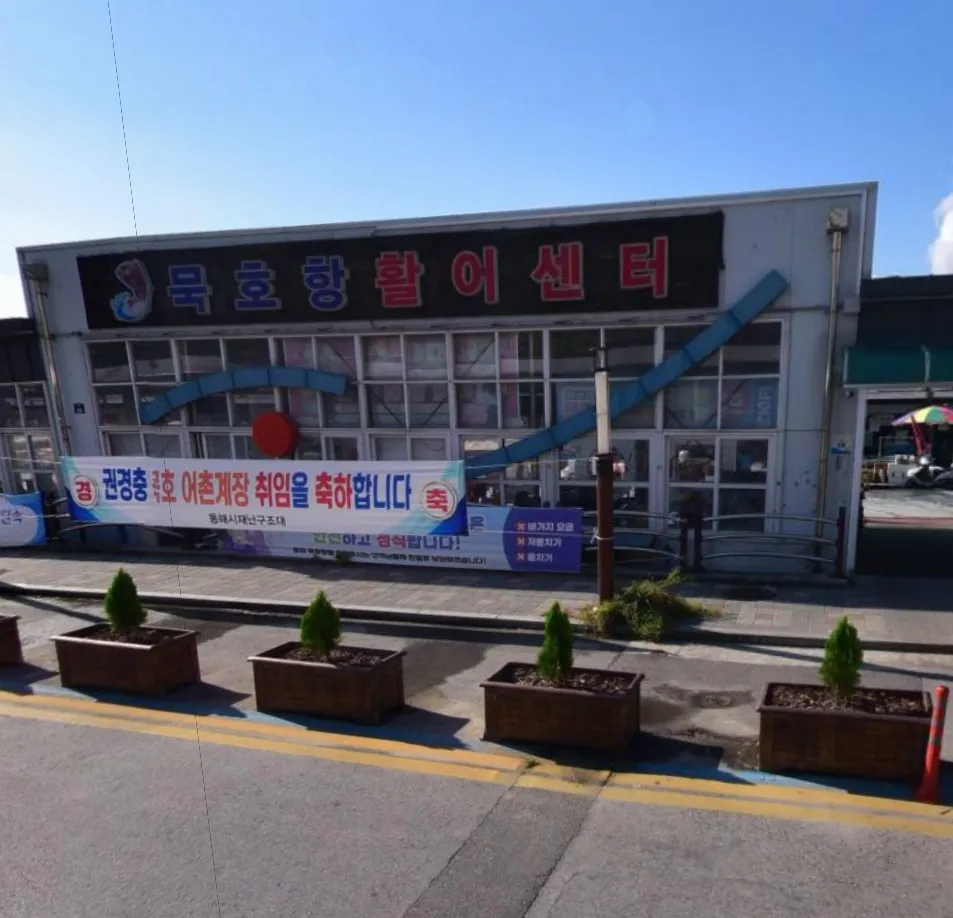 오늘N 묵호 대문어