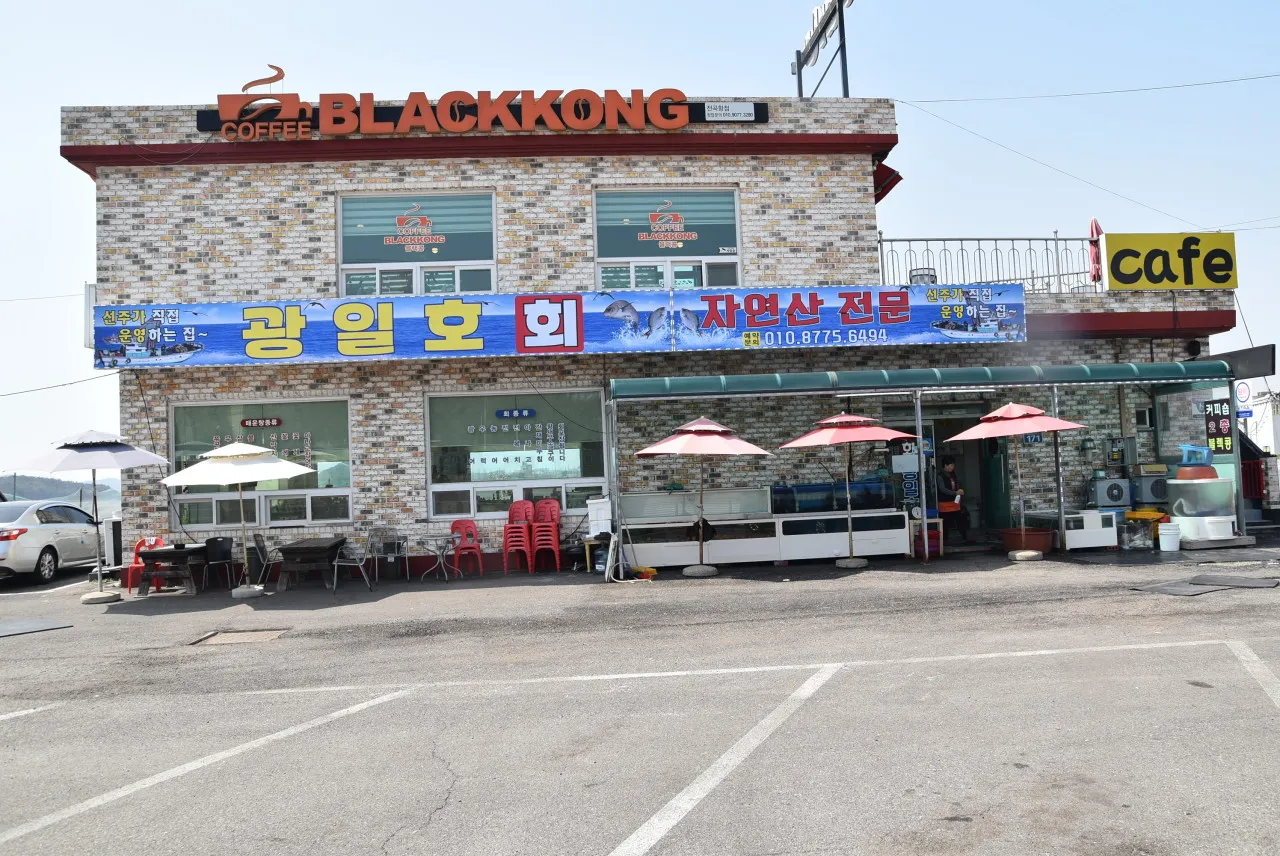 오늘N 화성 전곡항 실치 식당