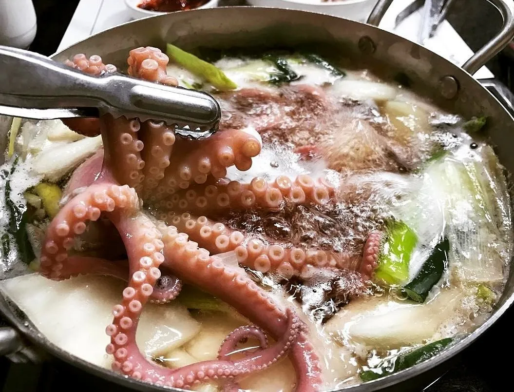 전현무계획3 대전 낙지탕 맛집