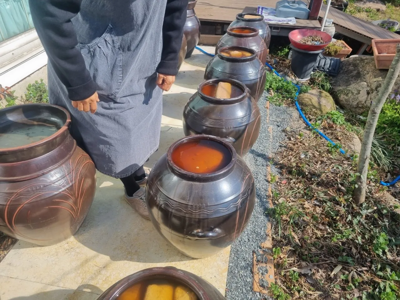 한국인의밥상 해남 두부장