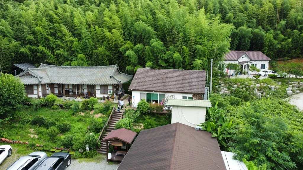 6시내고향 담양 죽로차