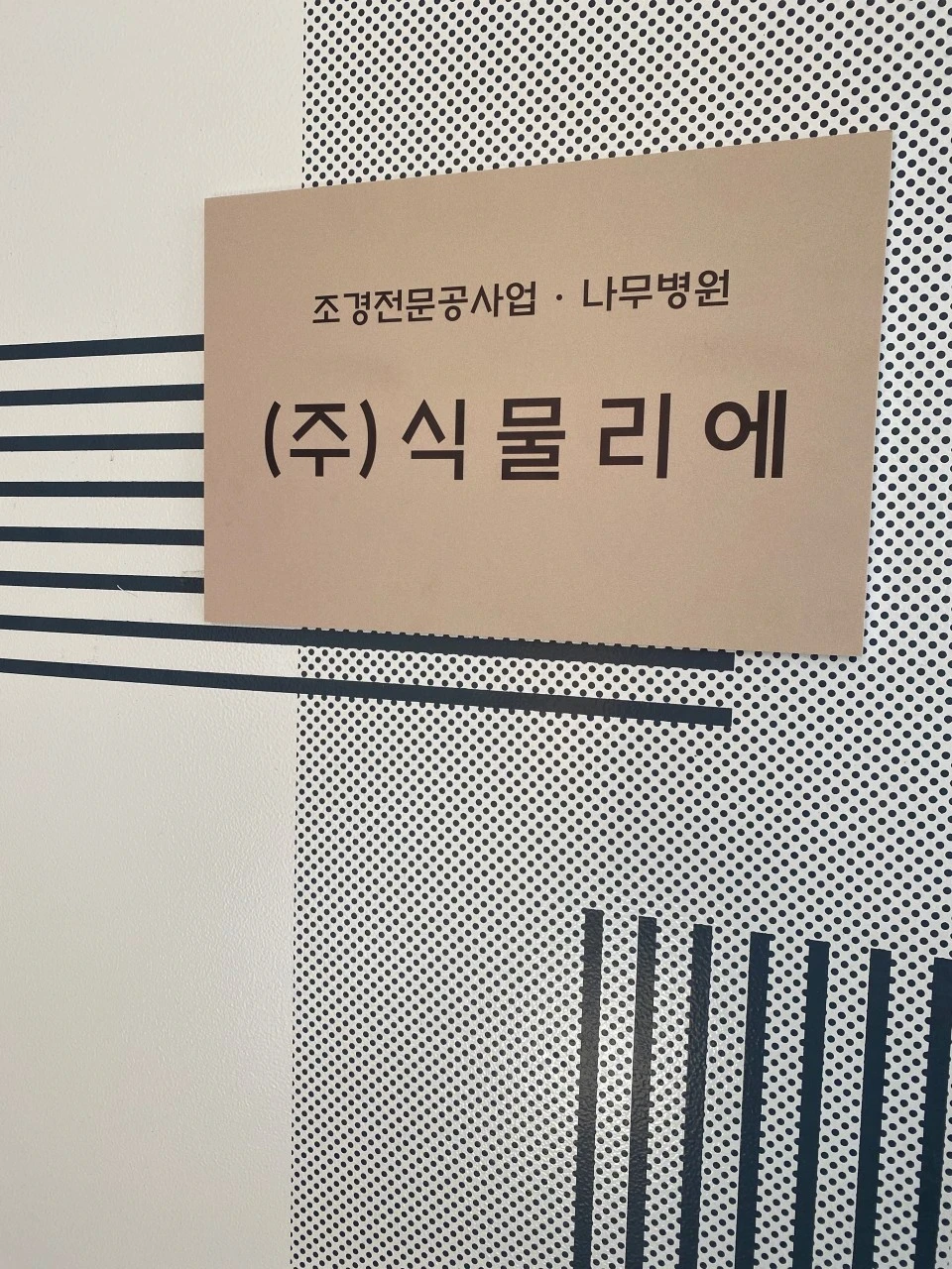 생방송투데이 천안 나무의사