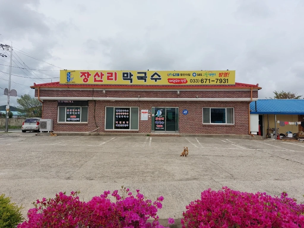 생활의달인 양양 동치미막국수