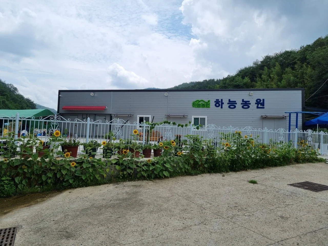 6시내고향 경남산청 금화규