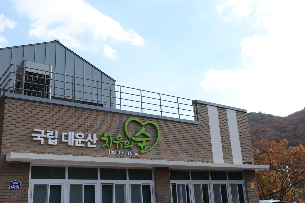 6시내고향 울산 울주 대운산 숲체험