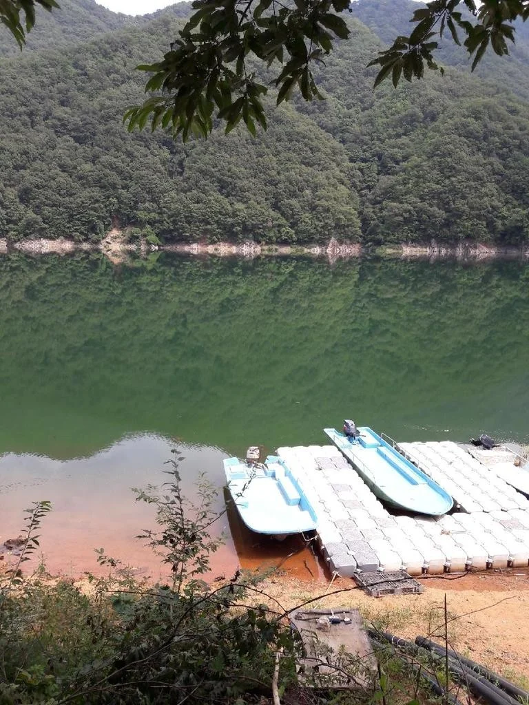 6시내고향 화천 민박