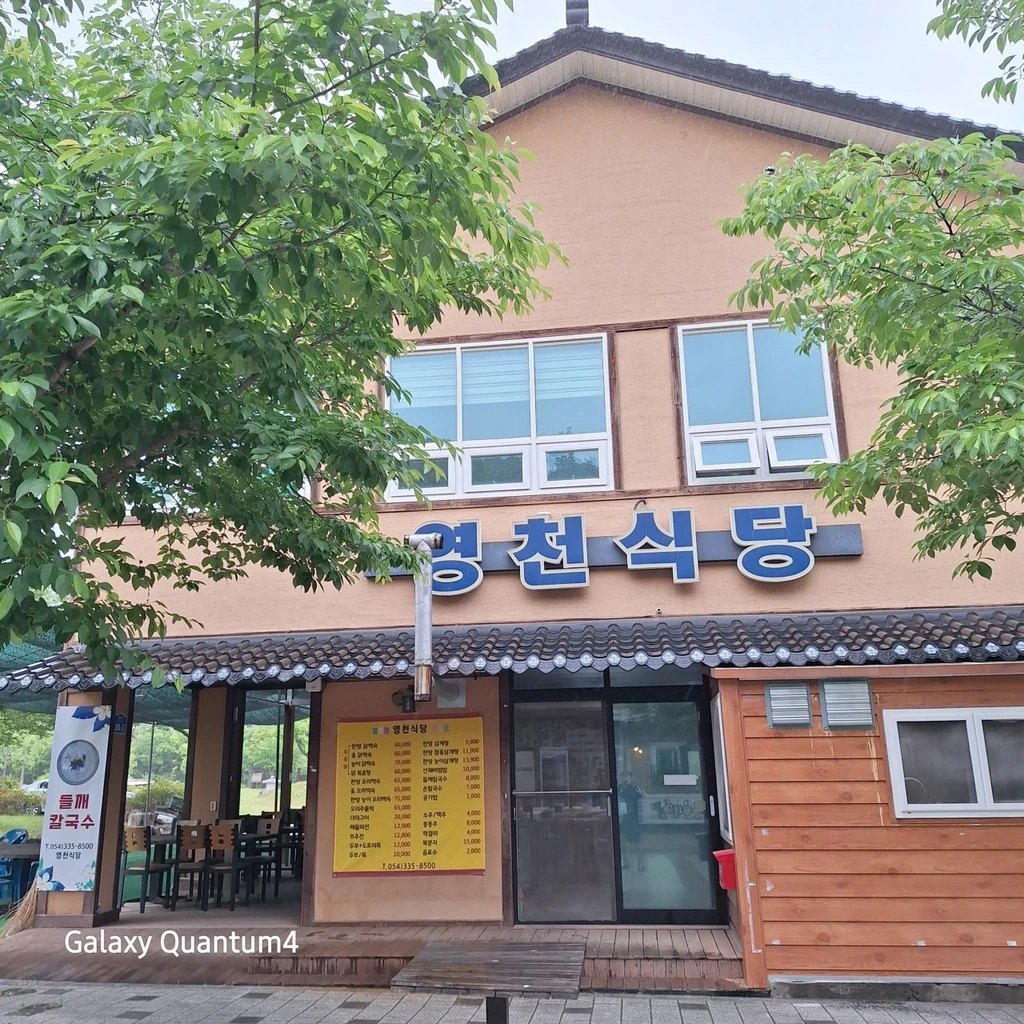 생생정보 영천 한방삼계탕