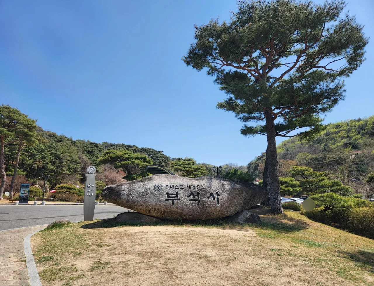 생생정보 이야기로 영주 부석사