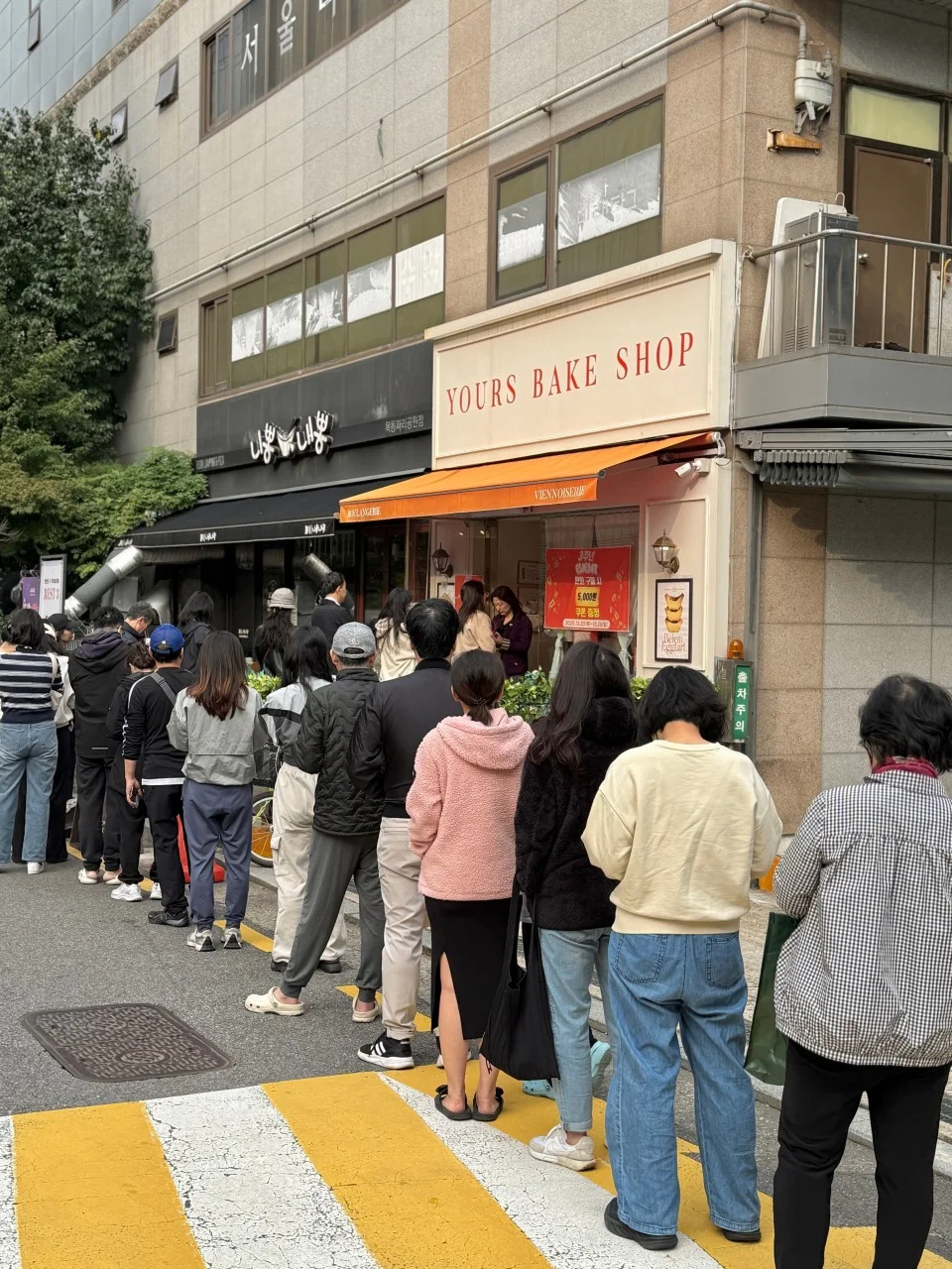 생활의달인 목동 에그타르트