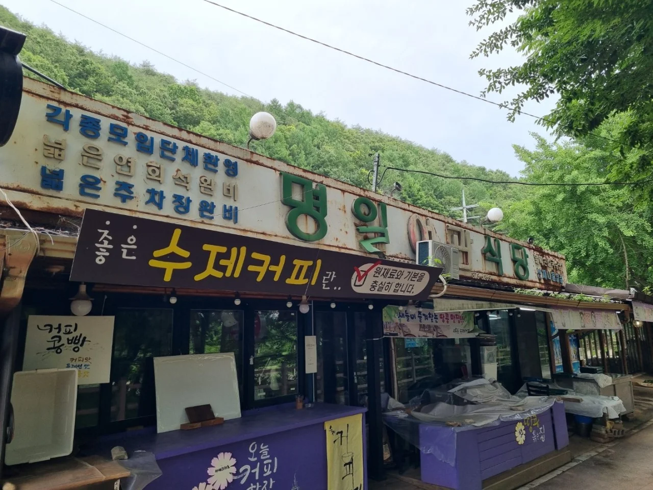 한국기행 청송 주왕산 손칼국수