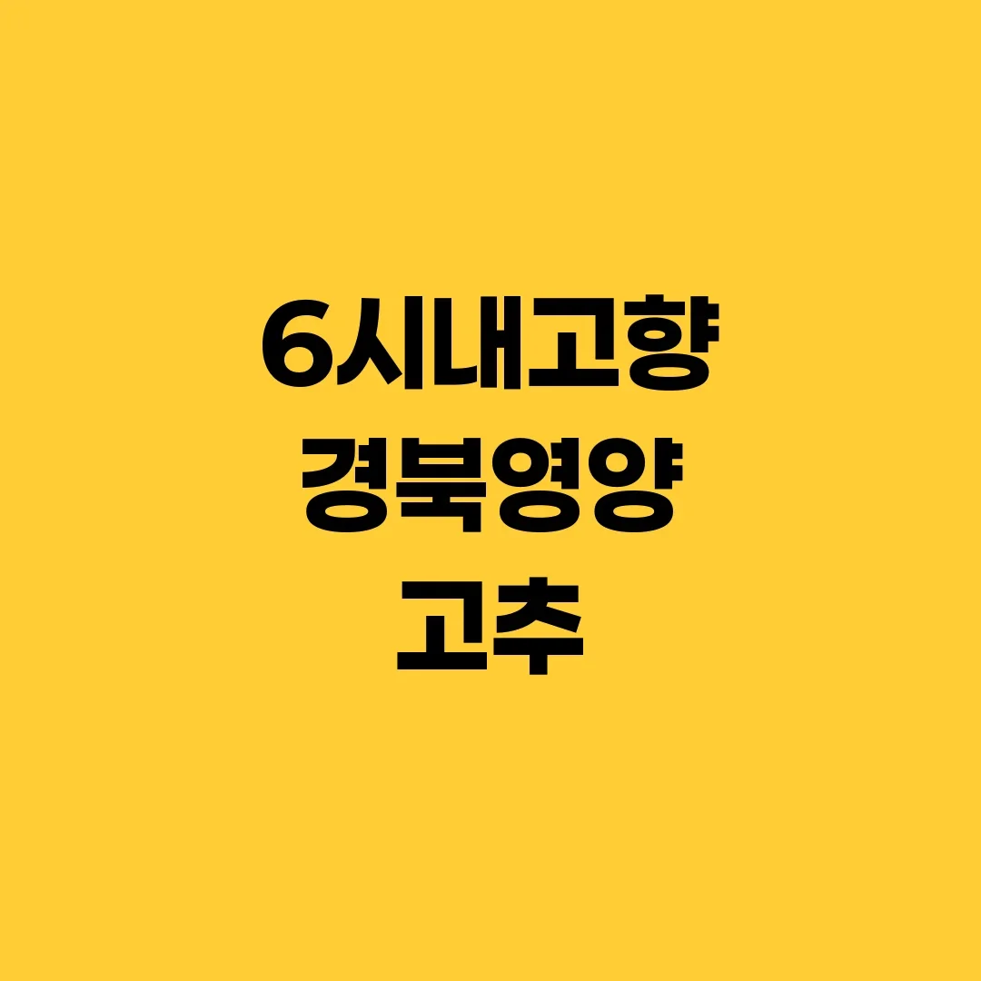 6시내고향 경북영양 고추