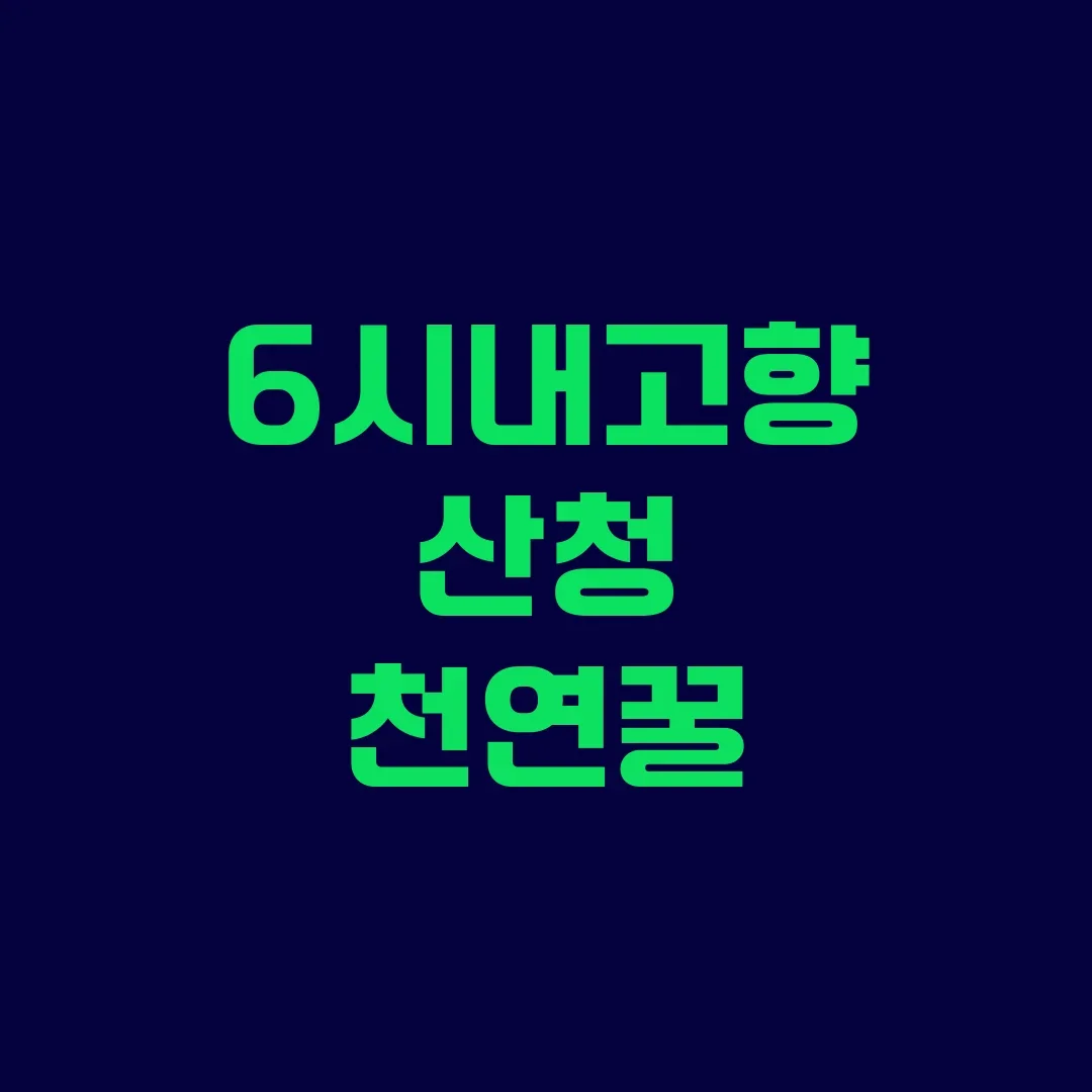 6시내고향 산청 천연꿀