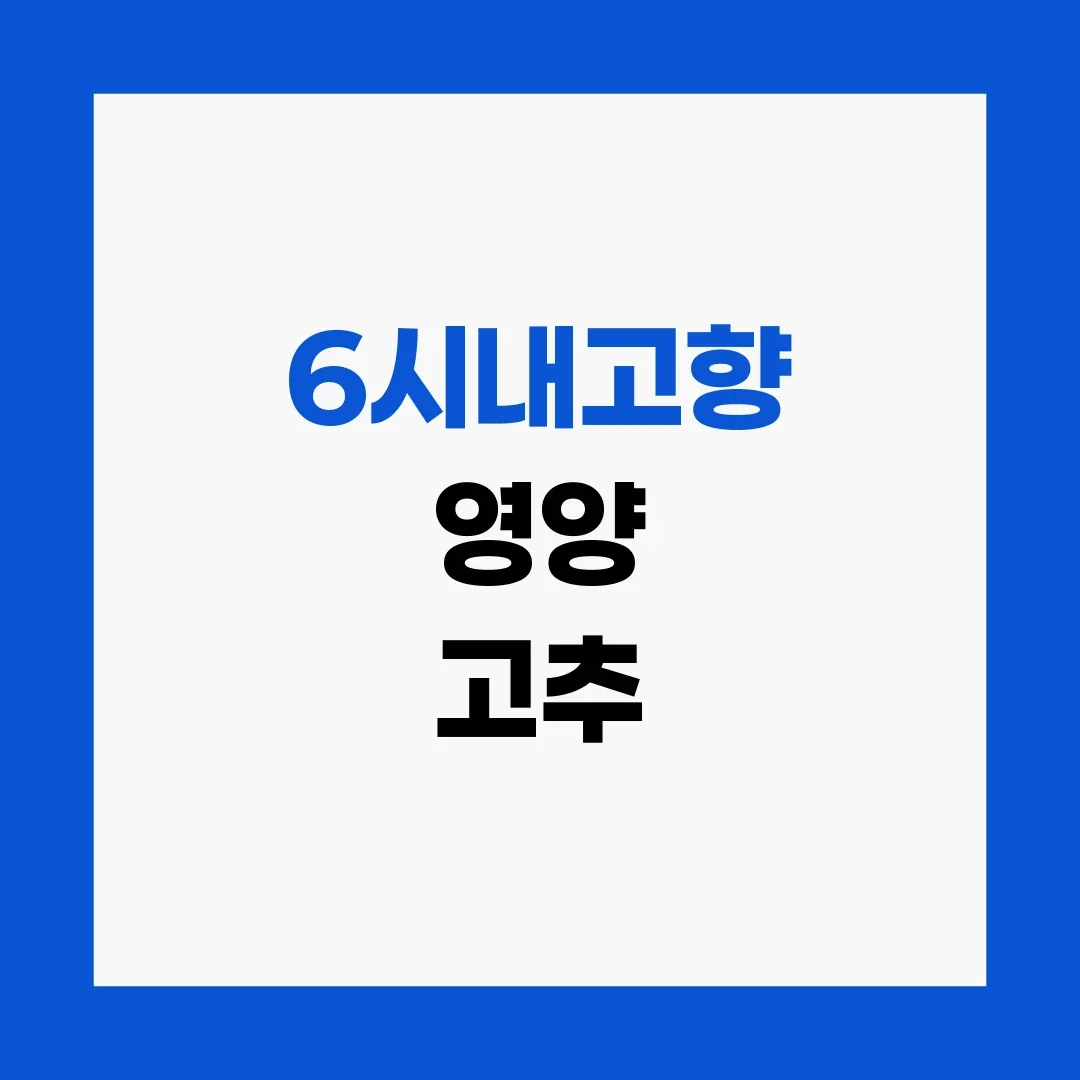 6시내고향 영양 고추