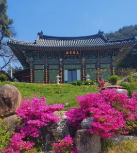 한국기행 창녕 낙동강 무심사