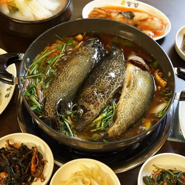 생생정보 포천 동강 매운탕 식당